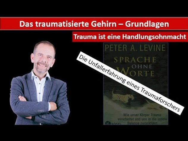 Das #traumatisierte #Gehirn - Einleitung - Teil 1