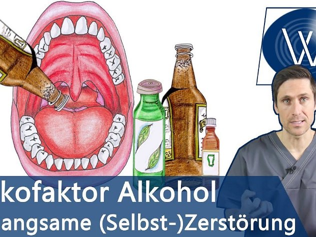 Lieblingsdroge Alkohol: Erholt sich unser Körper vom Gift? Gefahren & Folgen für Leber, Herz, Gehirn
