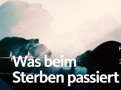 Was passiert beim #Sterben? | Quarks