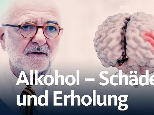 Wie gut kann sich der Körper vom Alkohol erholen?